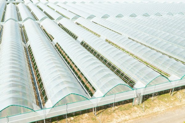 Bâche pour serre : Les différentes techniques de pose